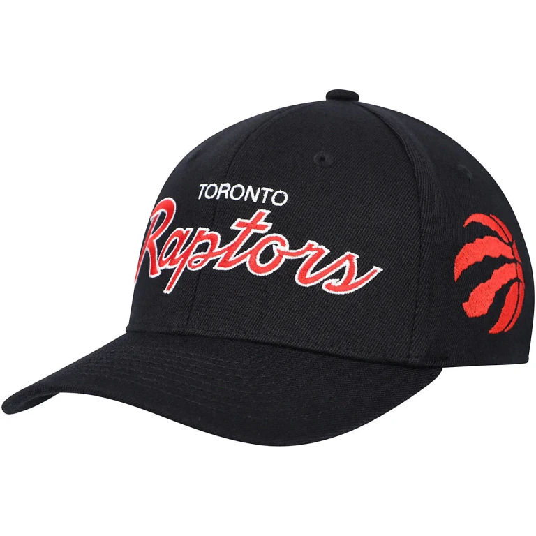 Men's NBA Team Script 2.0 Stretch Snapback Raptors Snapback Caps