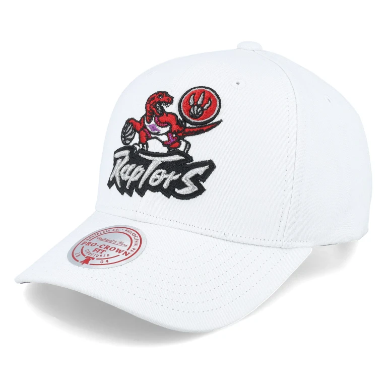 Men's NBA All In Pro Snapback Hwc Raptors Snapback Caps