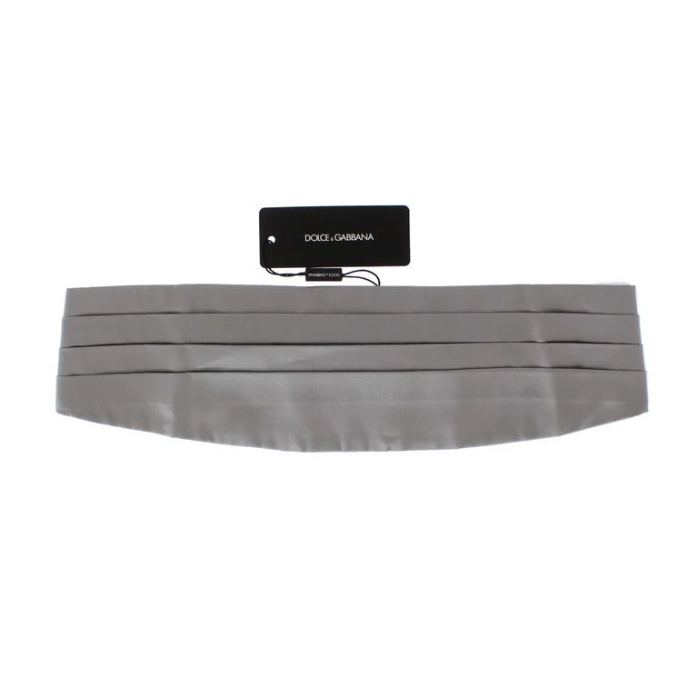 Dolce & Gabbana Silver Wide Belt Silk Cummerbund - Men