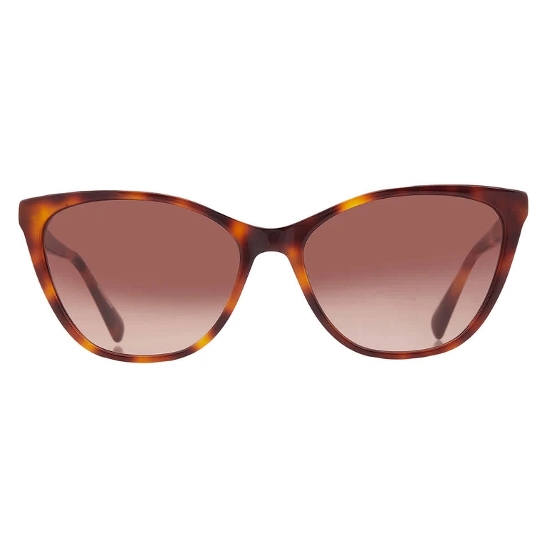 Brown Gradient Cat Eye Ladies Sunglasses LO659S 214 57