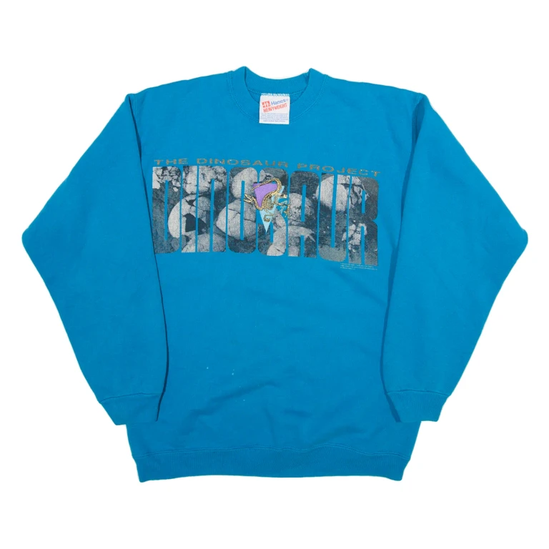 HAINES Mens Sweatshirt Blue USA M