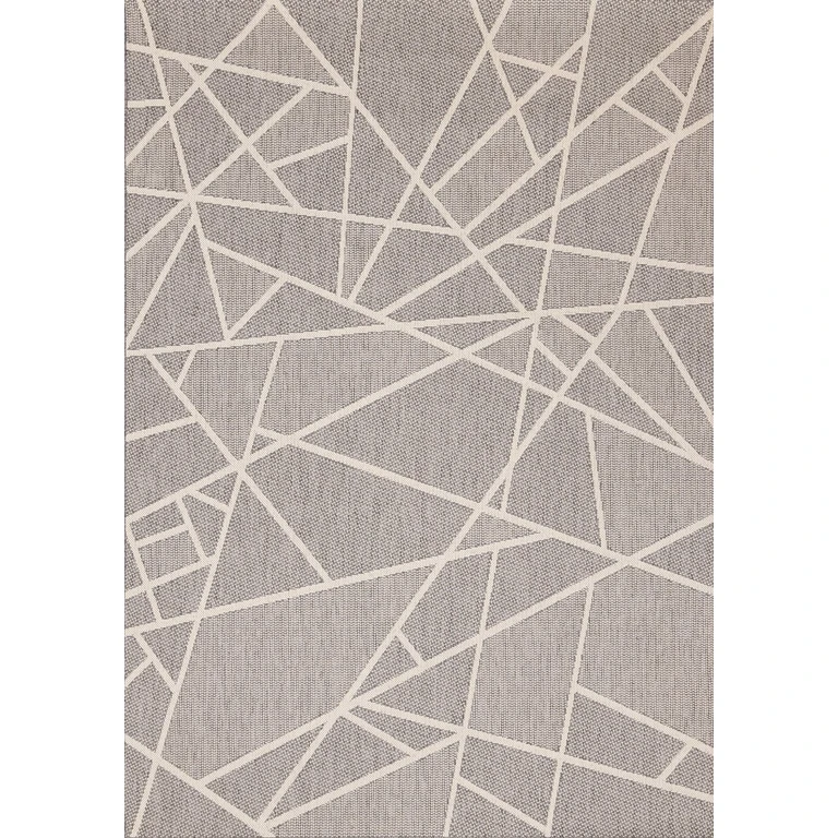 Jasper 6 x 9 Gray and White Outdoor Rug