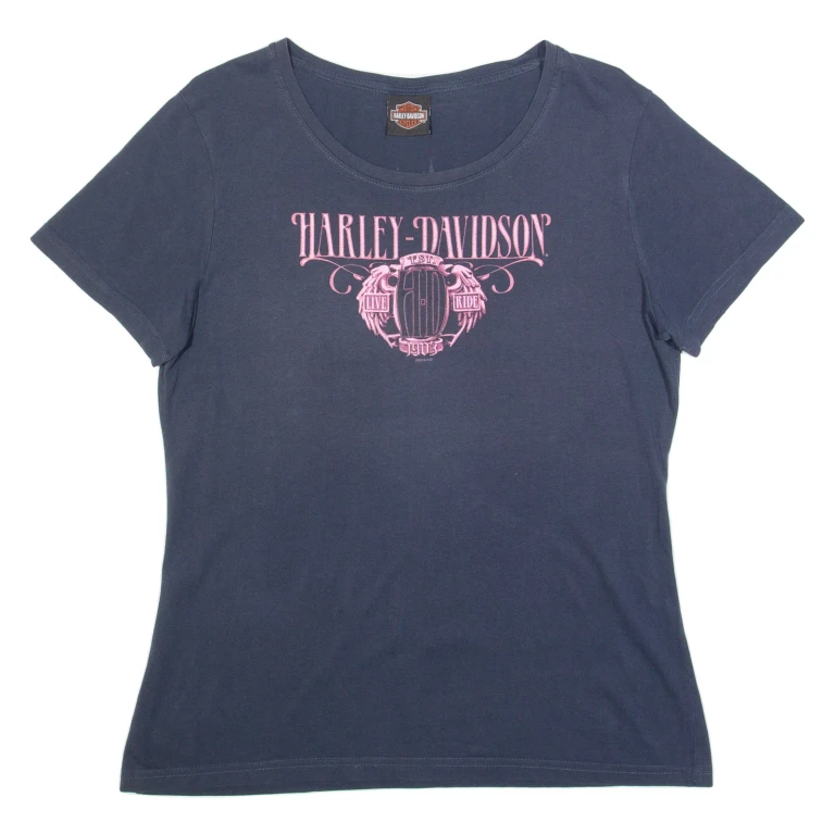 HARLEY DAVIDSON Switzerland Womens Biker T-Shirt Blue L