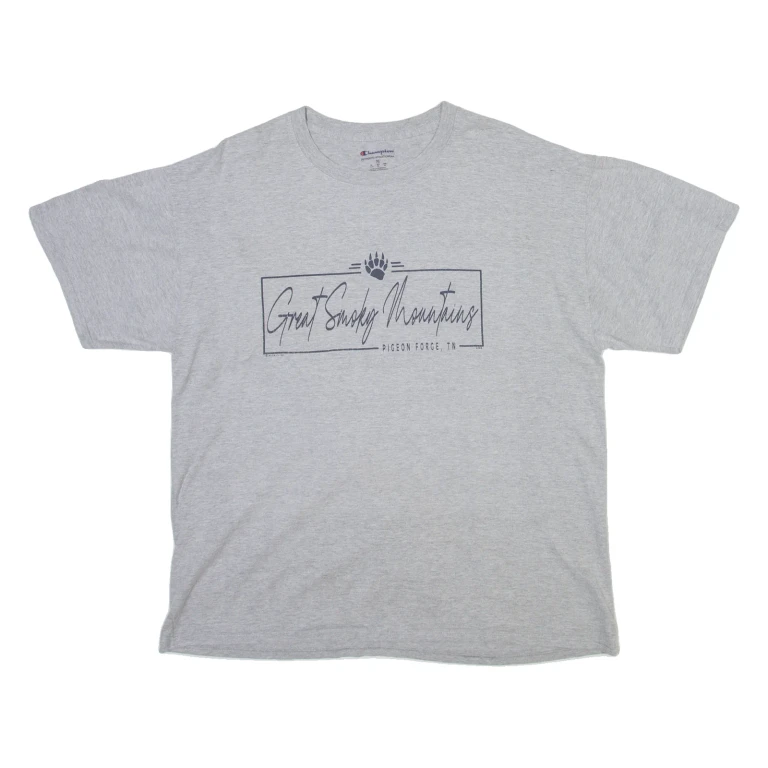 CHAMPION Mens T-Shirt Grey XL