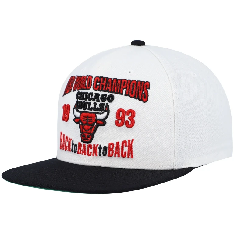 Men's NBA Chicago Bulls Back To '93 Snapback