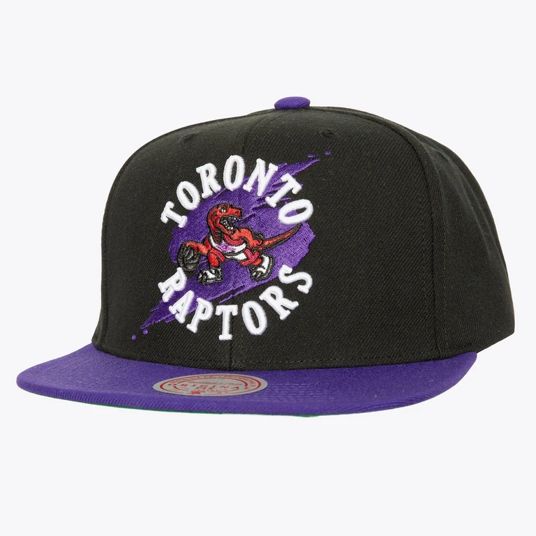 Men's NBA Circle Splash Snapback Hwc Raptors Snapback Caps