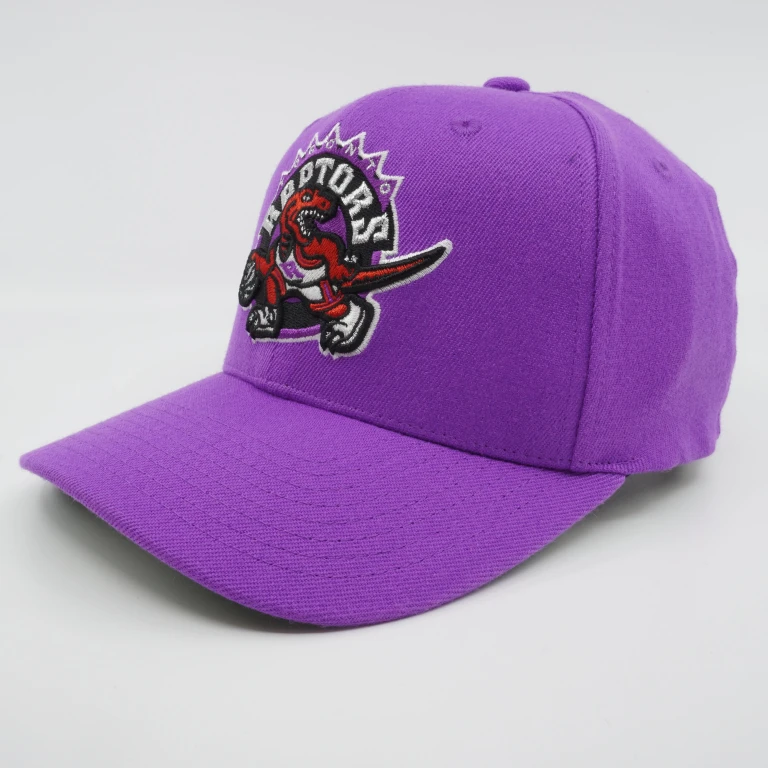 Men's NBA Team Ground 2.0 Stretch Snapback Hwc Raptors Snapback Caps