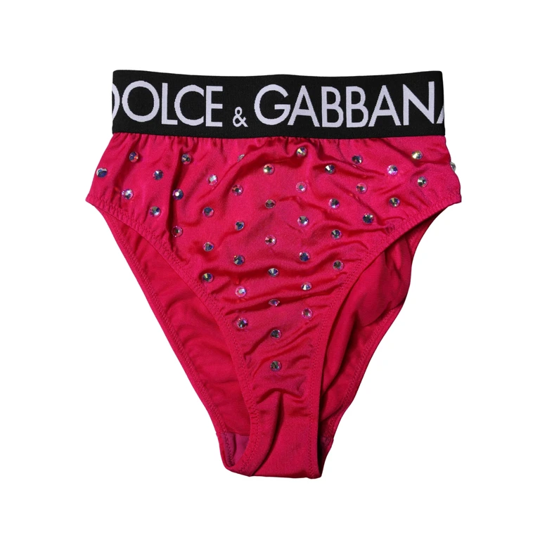 Dolce & Gabbana Pink Embellished High-Waist Brief Logo Underwear Elastane Nylon Clothing - Women