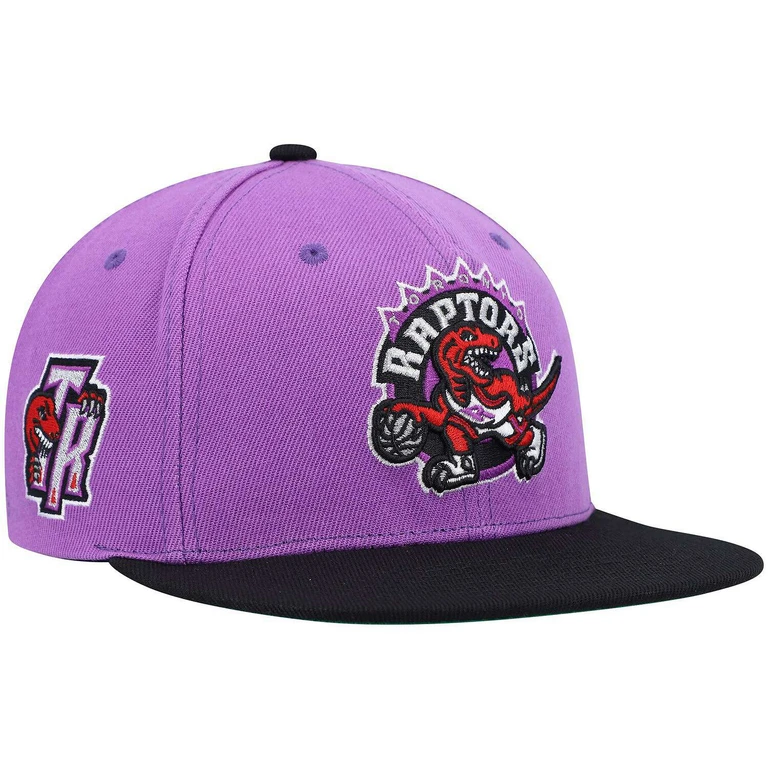 Men's NBA Side Core 2.0 Snapback Hwc Raptors Snapback Caps