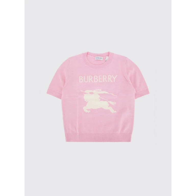 Sweater Kids color Pink (8130115)