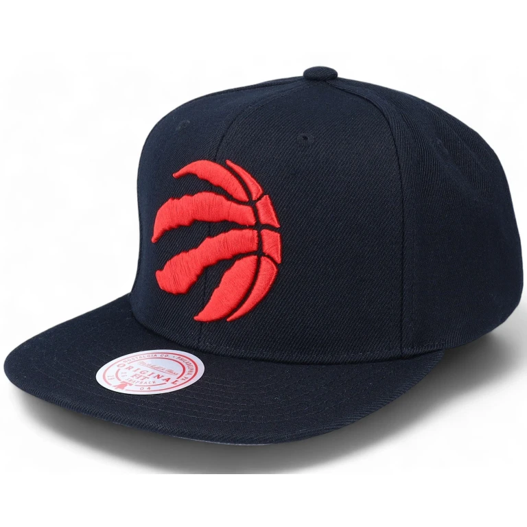 Men's NBA Team Ground 2.0 Snapback Raptors