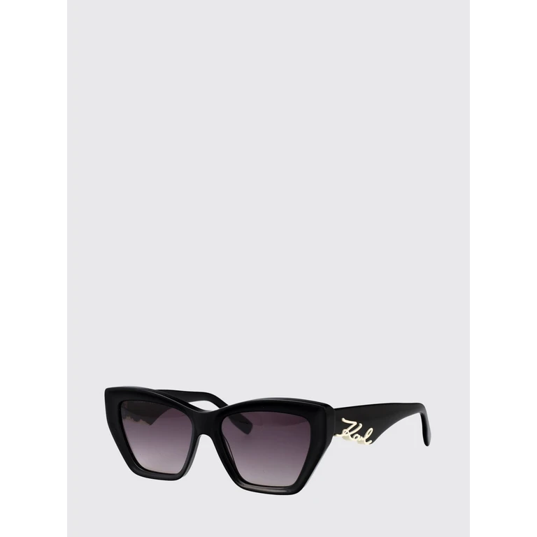 Cat Eye Sunglasses in Acetate with Metallic Logo (KL6179S1)