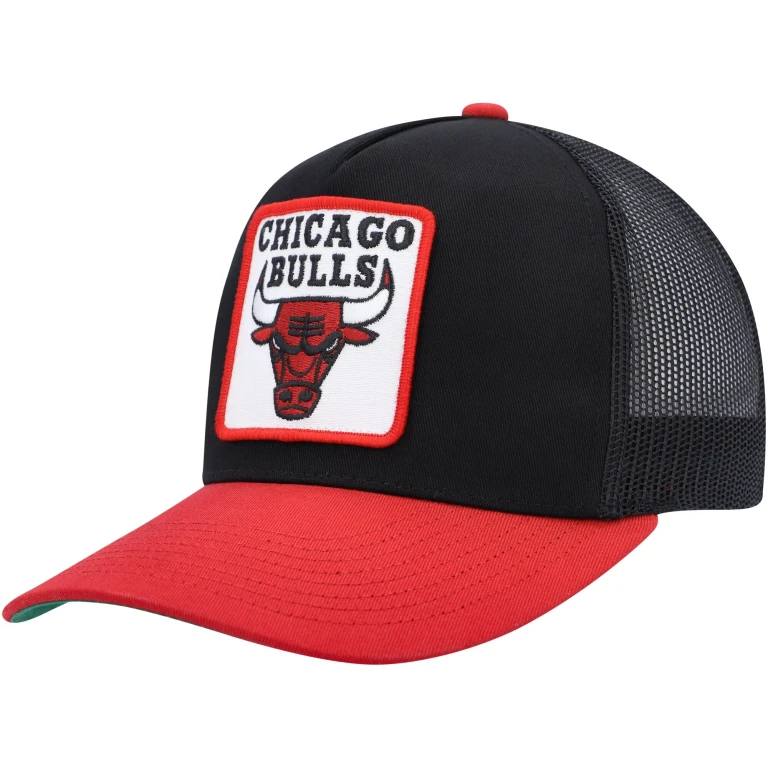 Men's NBA Truck It Trucker Bulls Hats