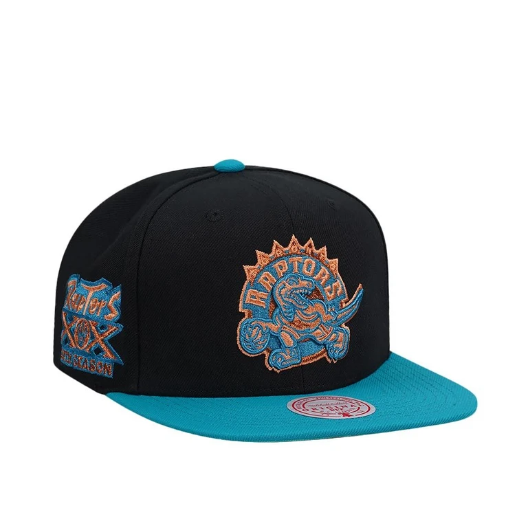 Men's NBA Make Cents Snapback Hwc Raptors Snapback Caps