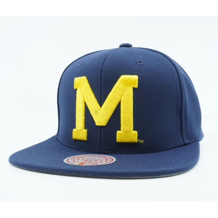 Men's Ncaa Michigan Wolverines Core Side Snapback