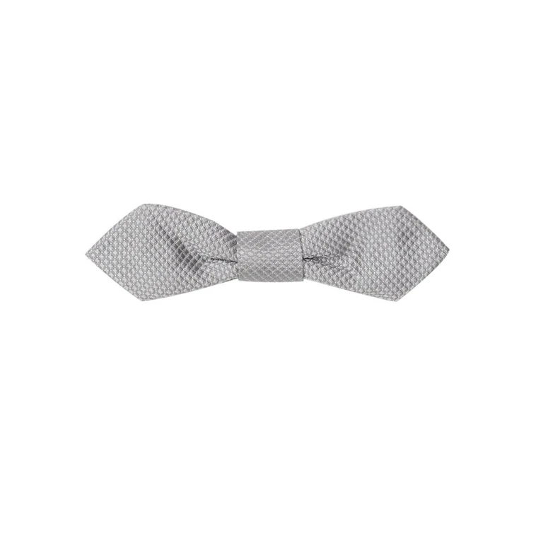 Dolce & Gabbana Gray Silk Bowtie Accessory - Men