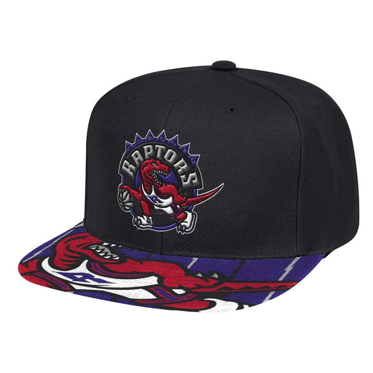 Men's NBA Toronto Raptors Swingman Pop Snapback
