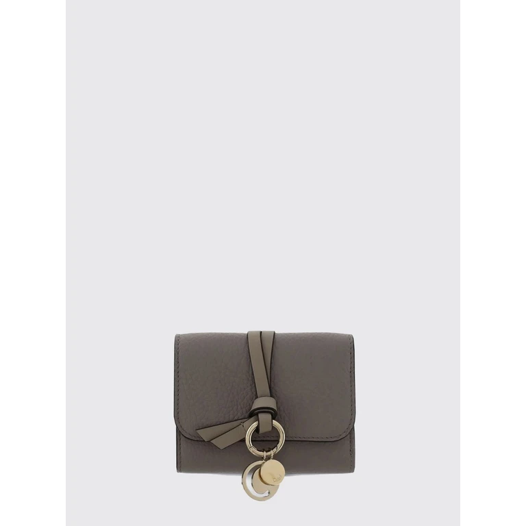 CHLOÉ Wallet Woman color Grey (CHC21WP945F57053)