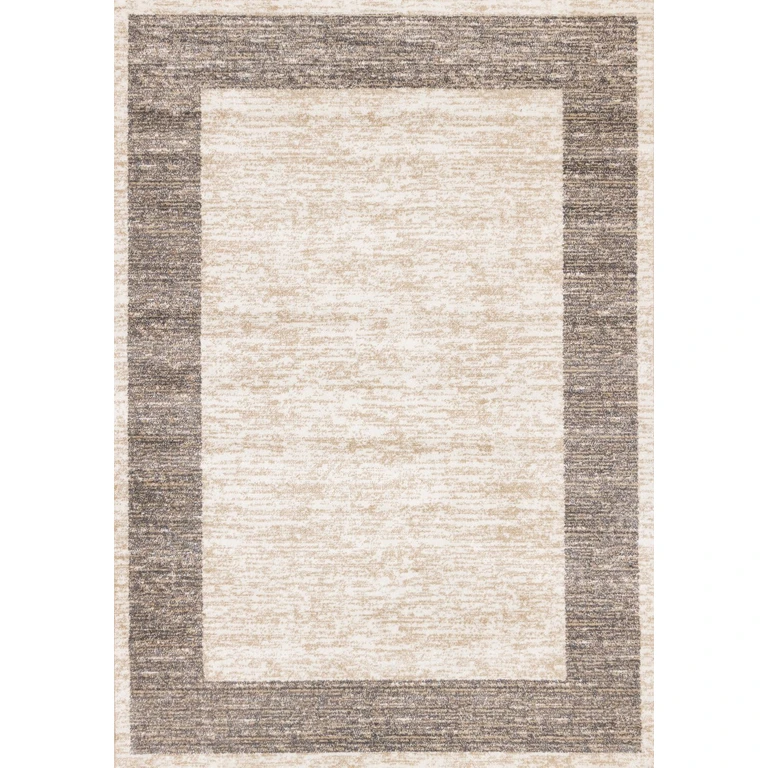 Century 8 x 11 Beige and Gray Border Area Rug