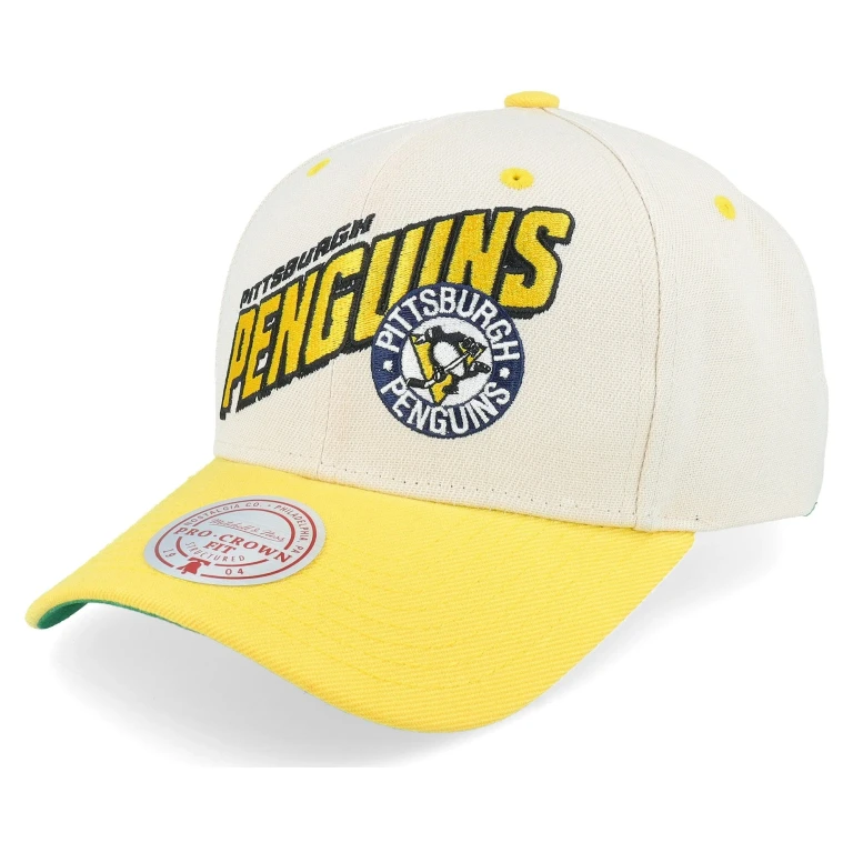 Men's NHL Retro Type Pro Snapback Vntg Penguins Snapback Caps