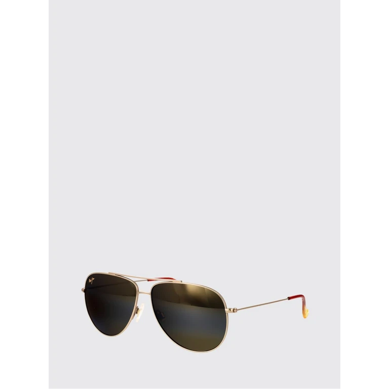 Sunglasses Men color Gold (H665-16B16BSHINYGOLDBRONZE)