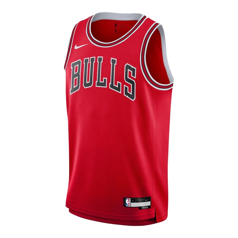 Men's NBA Chicago Bulls Icon Swingman Jersey