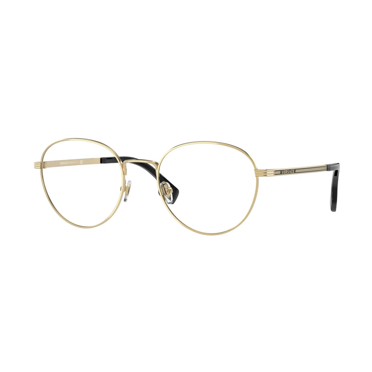 Demo Round Mens Eyeglasses VE1279 1002 53