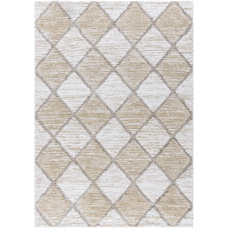 Aideen Cream Shag Area Rug