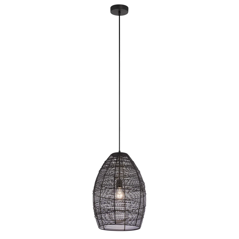 Pendant, Hanging Black Wire