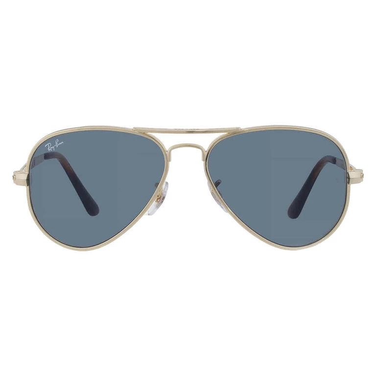 Ray Ban Aviator Max Blue Pilot Unisex Sunglasses RB3925 001/R5 58