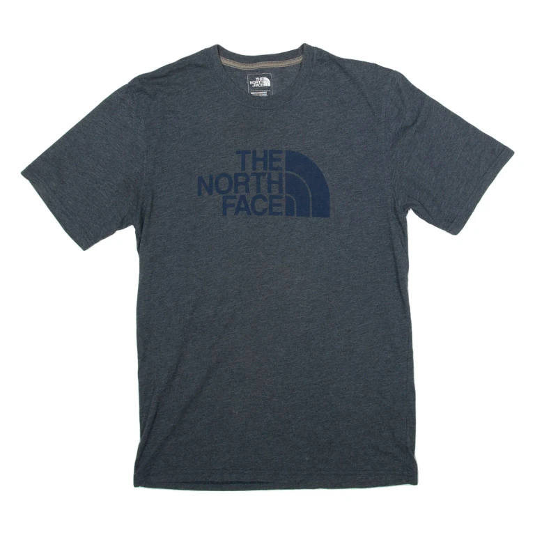 THE NORTH FACE Mens T-Shirt Blue S