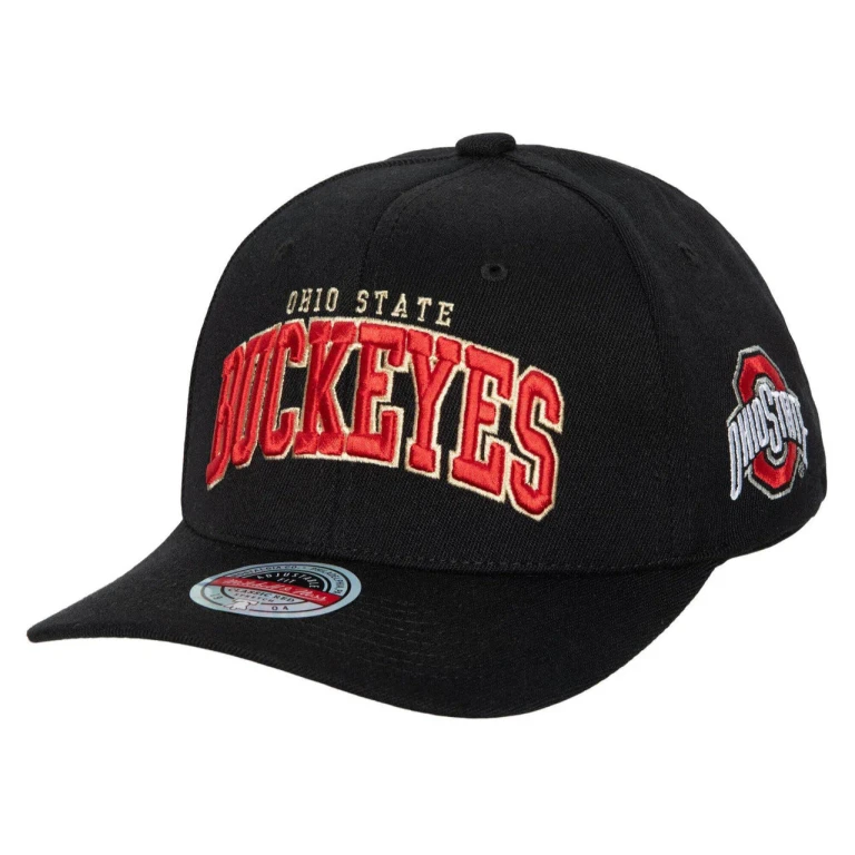 Men's Ncaa The Champ Stretch Snapback Ohio State Snapback Caps