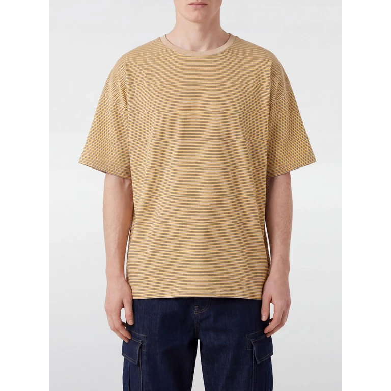Striped Relaxed Fit T-Shirt in Cotton with Crew Neck (BOXYPARADISEBISCUIT)