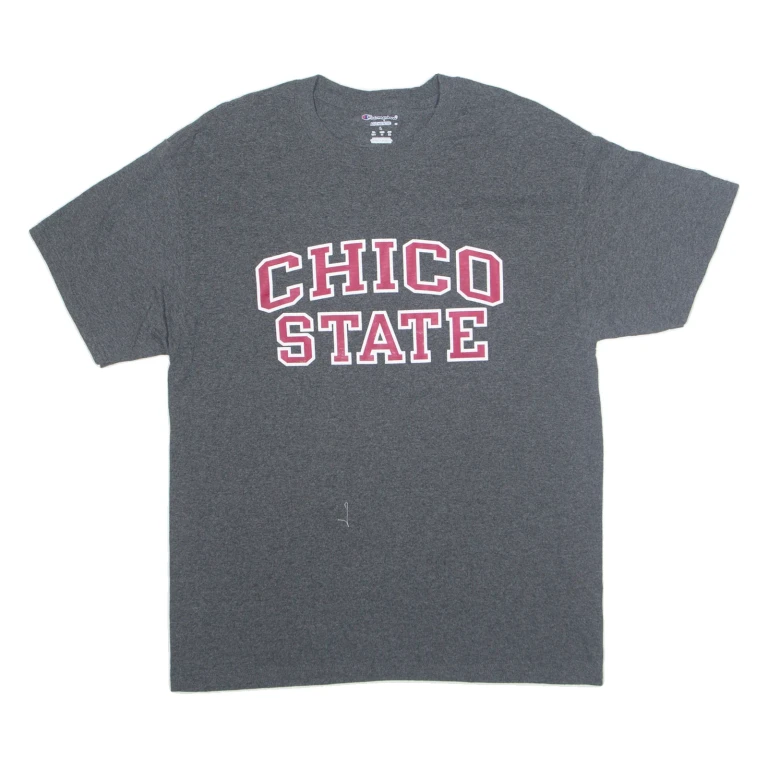 CHAMPION CHICO STATE Mens T-Shirt Grey USA L