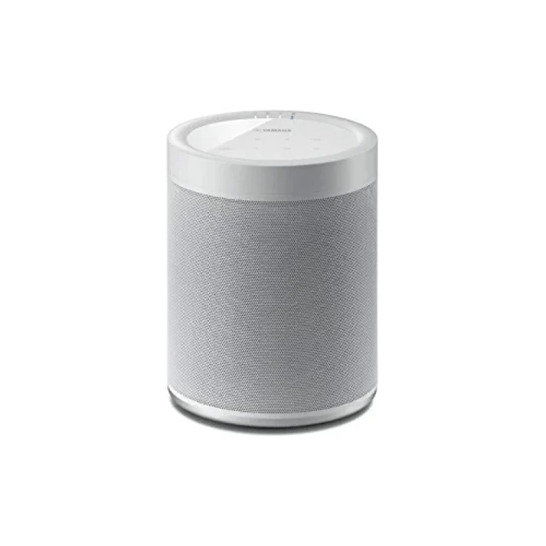WX-021 MusicCast 20 Wireless Speaker