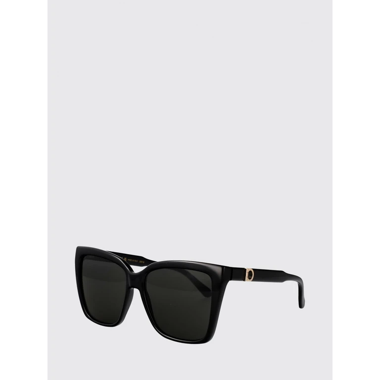 Cat-Eye Sunglasses in Acetate with Gancini Detail (SF2085SE1)