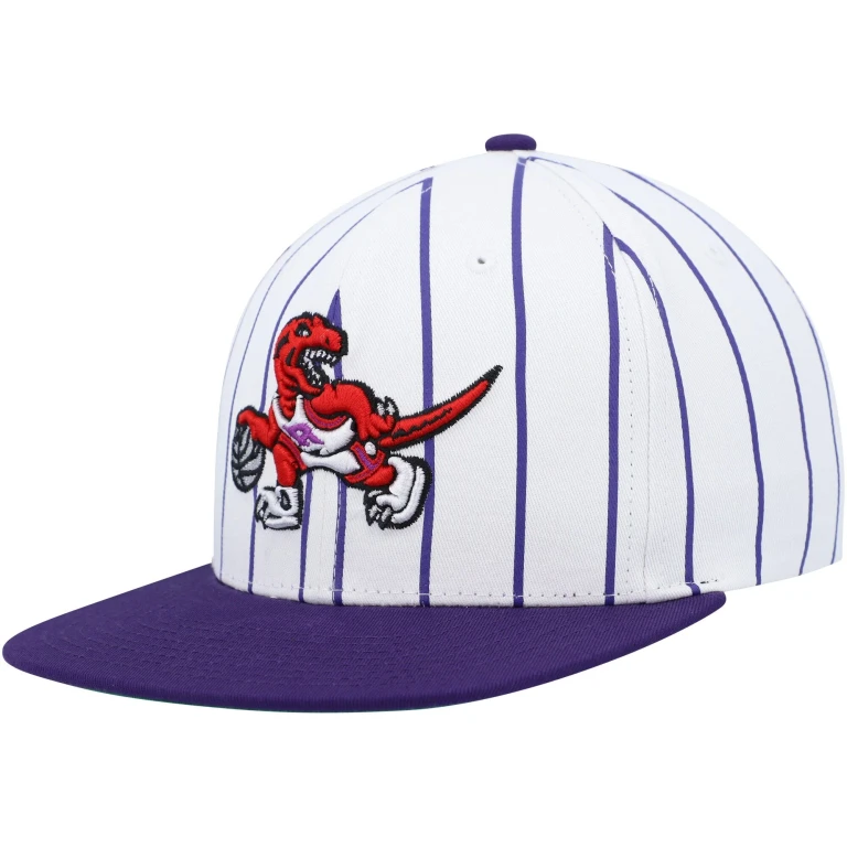 Men's NBA Retro Pinstripe Snapback Hwc Raptors Snapback Caps