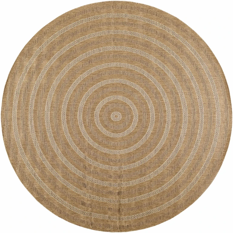 Dyami Flatweave Faux Jute Rug