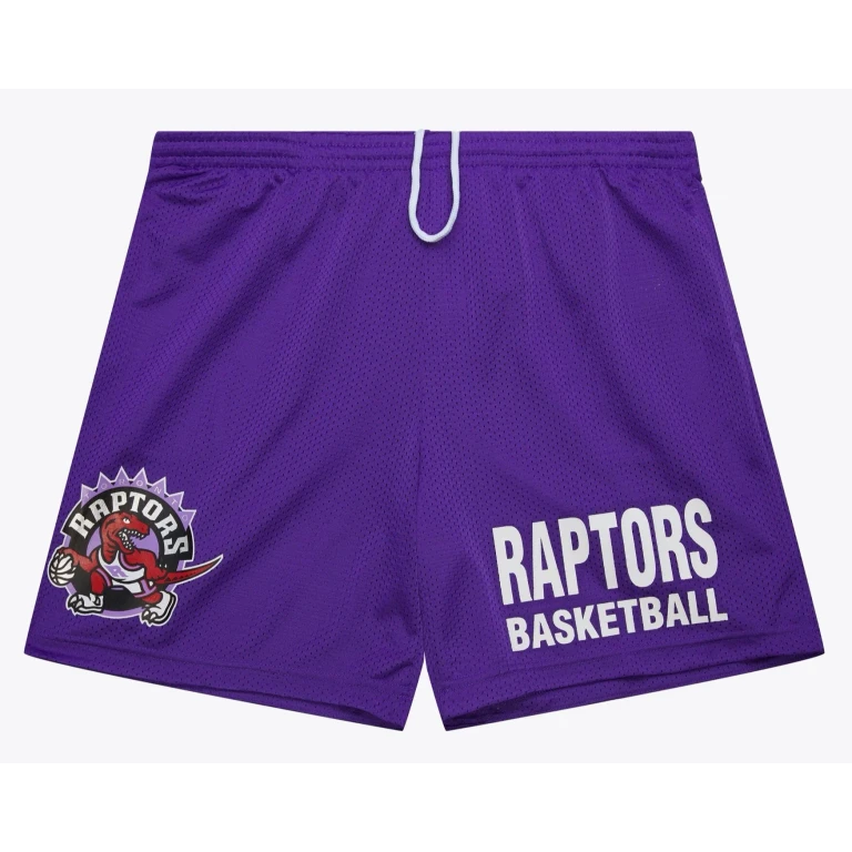 Men's NBA Gameday Mesh 7In Shorts Vintage Logo Raptors
