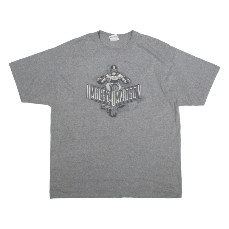 HARLEY DAVIDSON Mens T-Shirt Grey 2XL