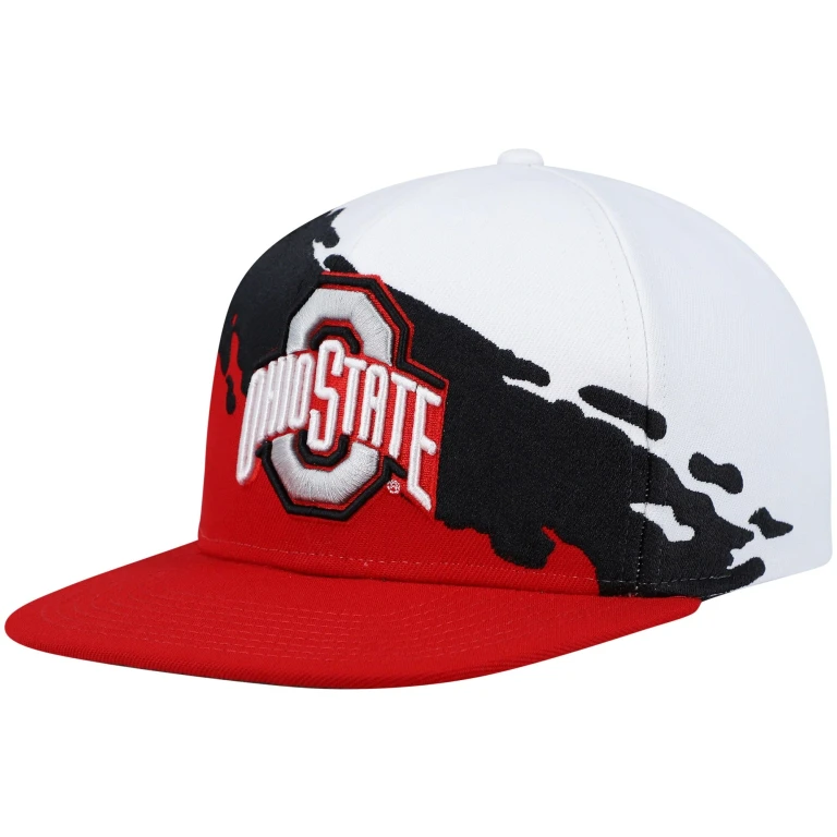 Men's Ncaa Paintbrush Snapback Ohio State Snapback Caps