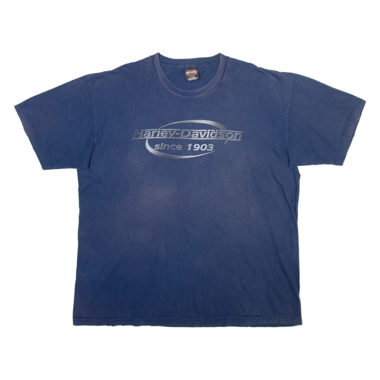 HARLEY DAVIDSON Mens Biker T-Shirt Blue 2XL