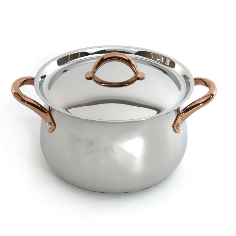 Ouro Gold 18/10 Stainless Steel 9.5" Stockpot with SS Lid, 8.1qt