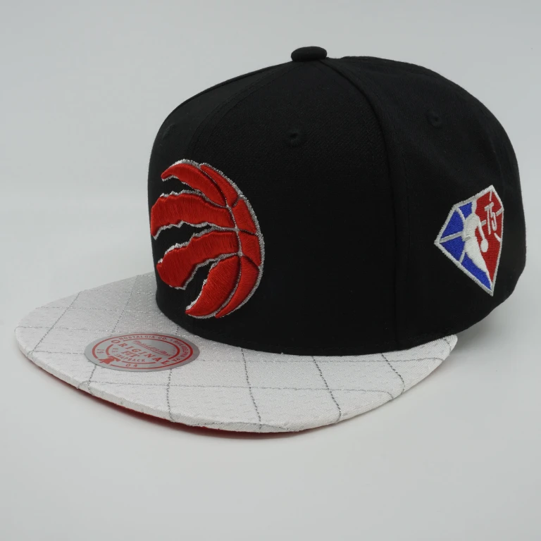 Men's NBA 75Th Platinum Snapback Raptors Snapback Caps