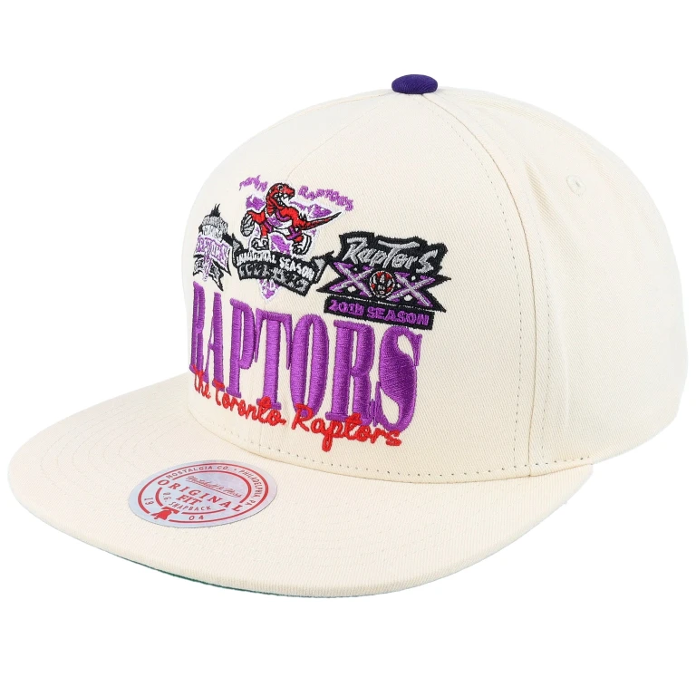 Men's NBA Reframe Retro Snapback Hwc Raptors Snapback Caps