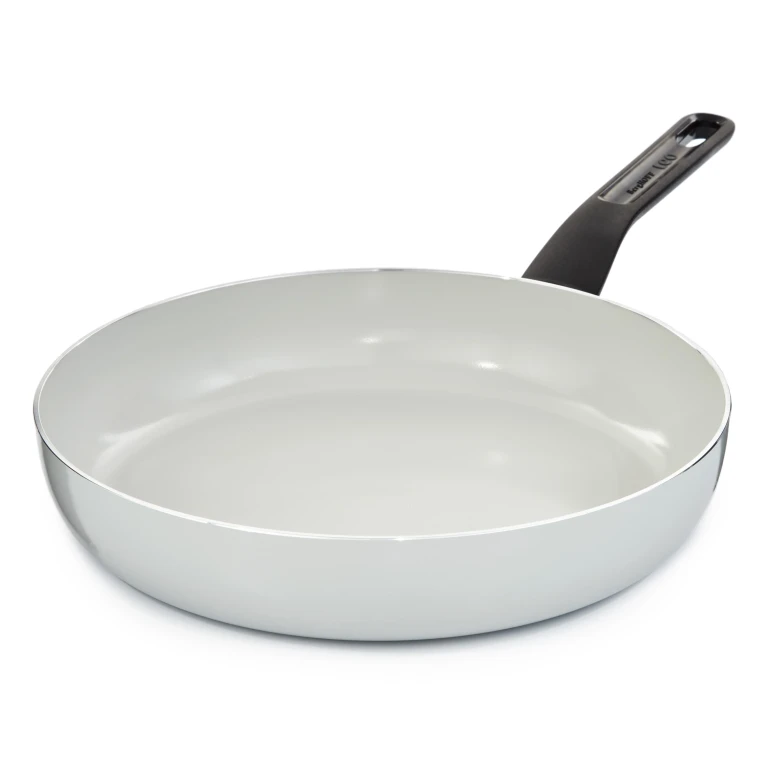 Leo Glints Nonstick Recycled Aluminum Frying Pan 11"