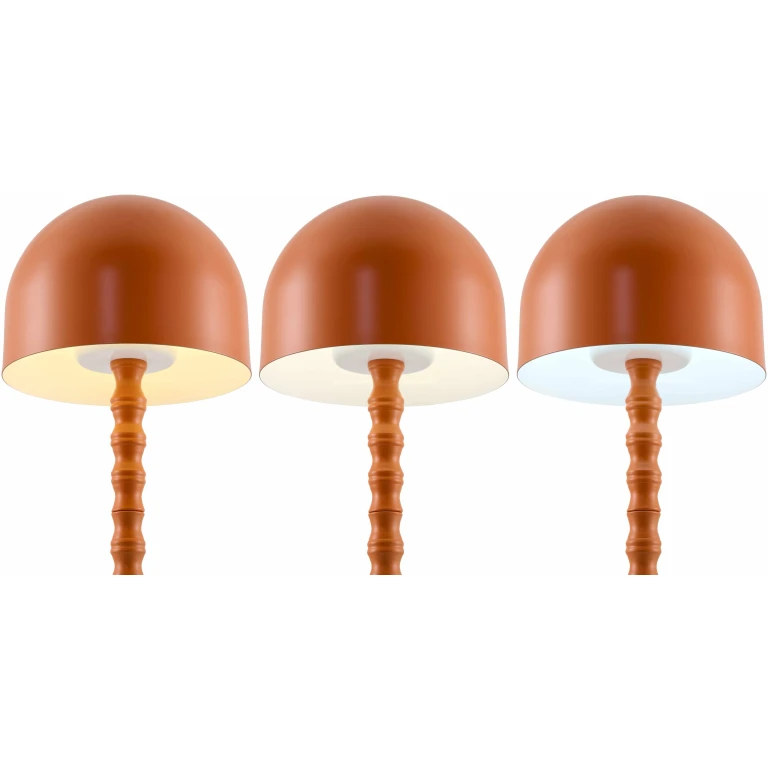 Magdagachi Orange Table Lamp