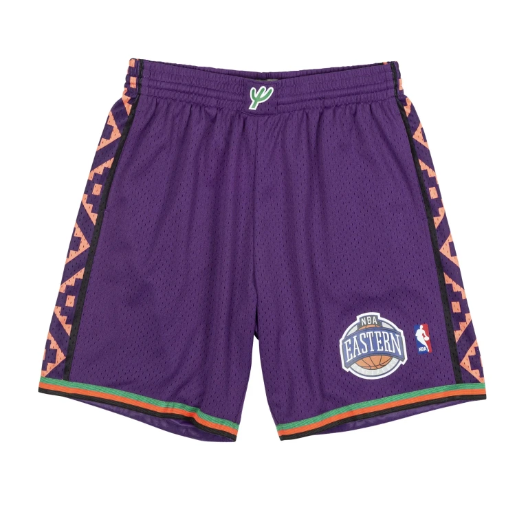 Men's NBA Swingman Shorts All Star 95