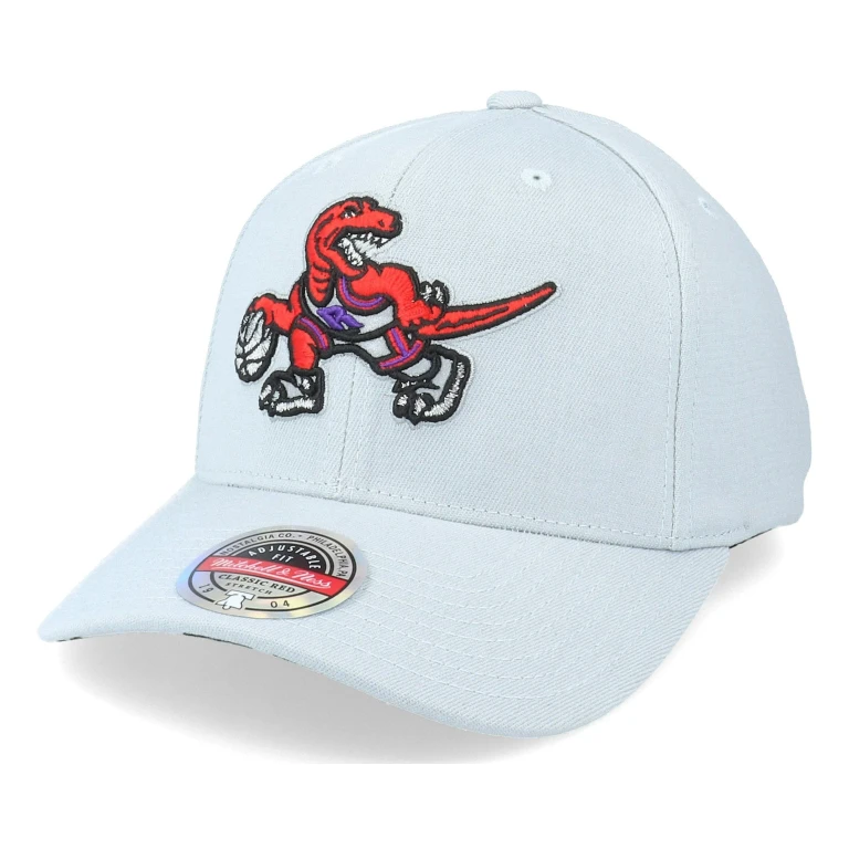 Men's NBA Spot Lights Stretch Snapback Hwc Raptors Snapback Caps