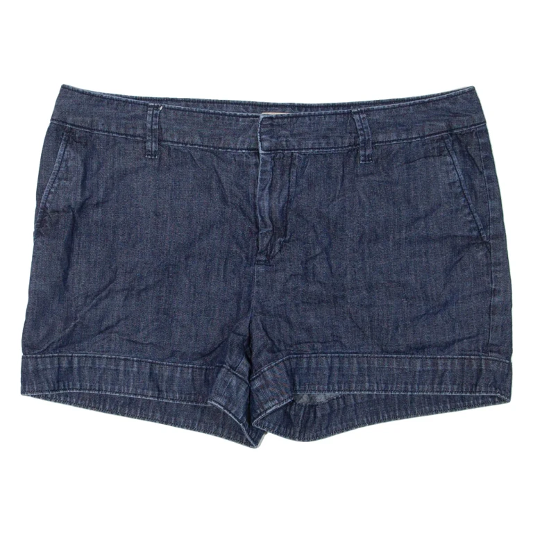 GAP Womens Casual Shorts Blue XL W36